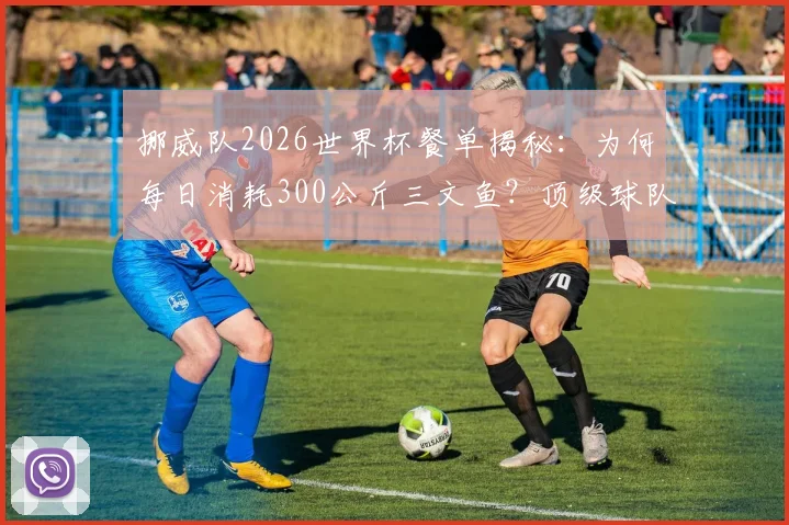 挪威队2026世界杯餐单揭秘:为何每日消耗300公斤三文鱼?顶级球队的饮食后勤与本土物产战略解析
